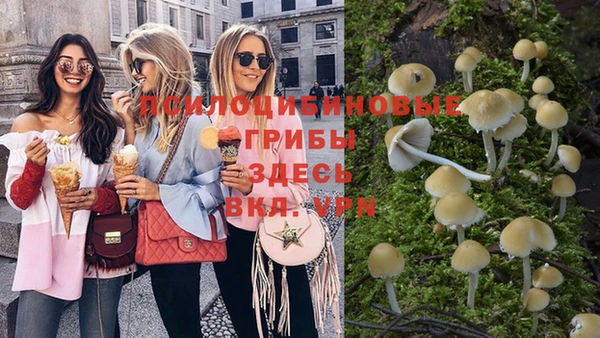 спайс Алзамай