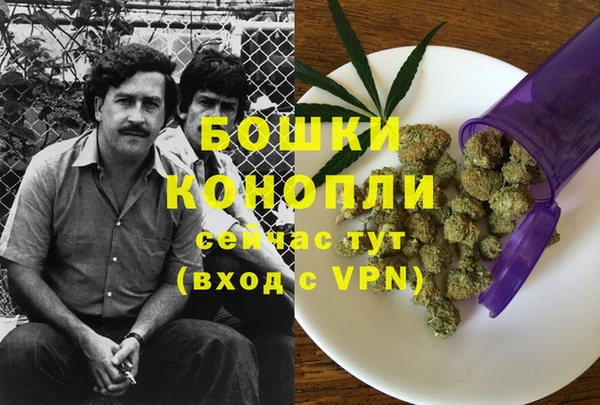 спайс Алзамай